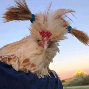 My closet loss your closet gain